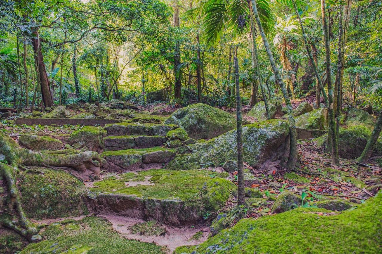 Sitio Serra Orgaos Com Rio Aguas Cristalinas Guapimirim Exterior photo