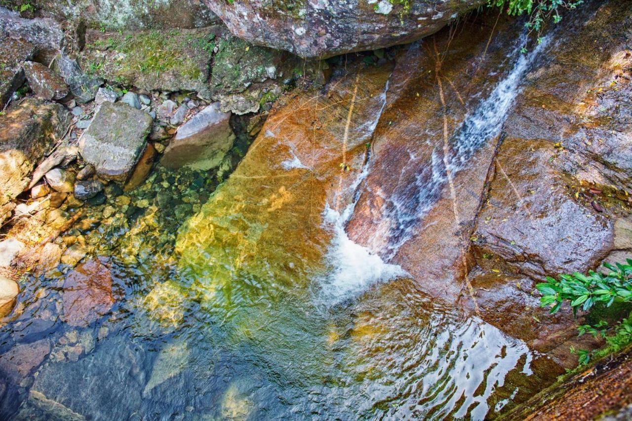Sitio Serra Orgaos Com Rio Aguas Cristalinas Guapimirim Exterior photo
